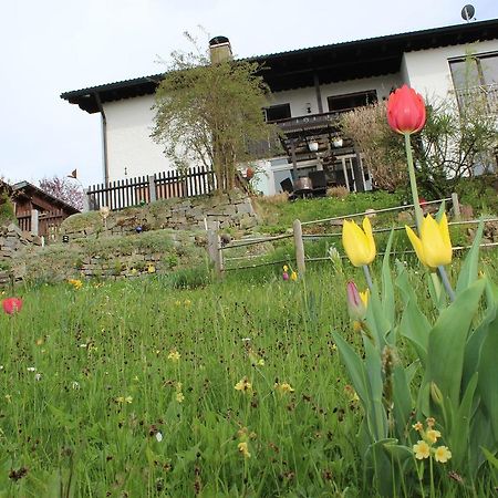 Апартаменти Haus Koblizek Вальдкірхен Екстер'єр фото